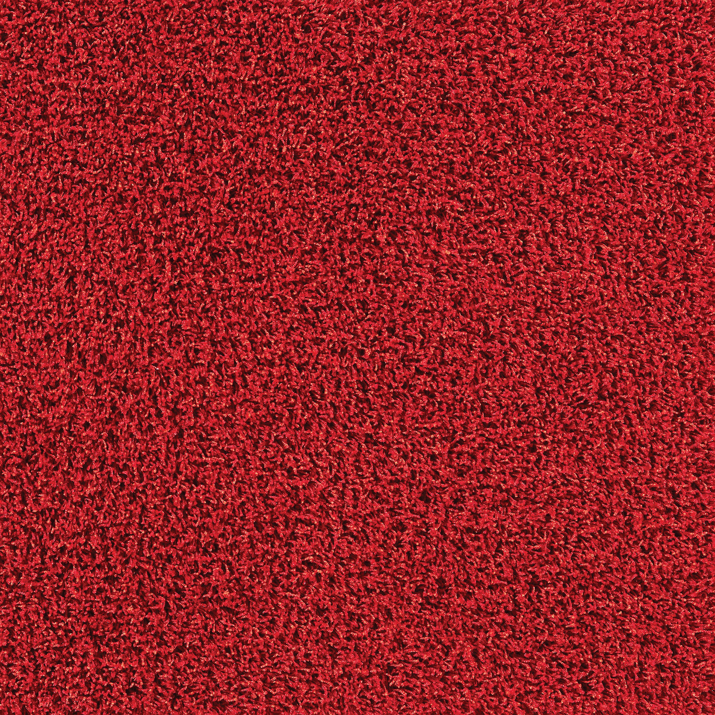 Красный ковер текстура фото